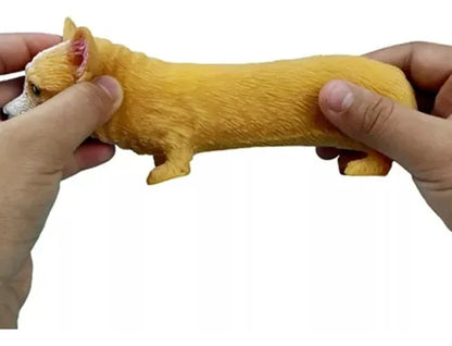 Squishy de Corgi perro